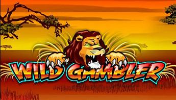 Wild Gambler Slots Review - Ash Gaming