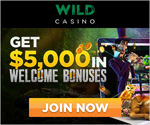 Wild Casino Detailed Review