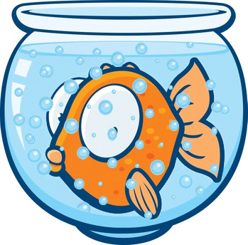 Fishy Cash Games Sites Guide