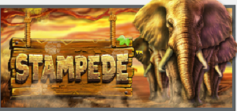 Stampede Slots Detailed Review - BetSoft